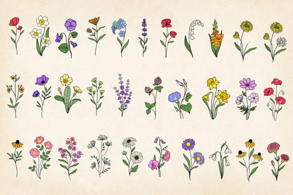 Download Hand-drawn Minimal Wildflowers Bundle - Flowers Collection