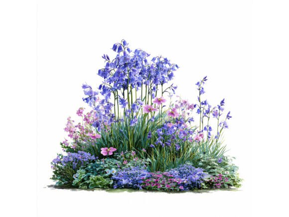 Download 14 JPG Garden Flowers Watercolor - Flowers Collection