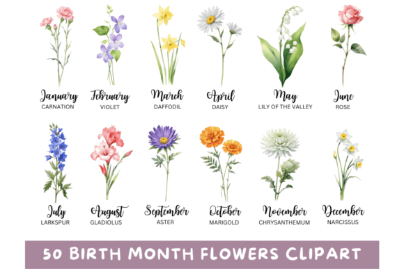 Download 50 Watercolor Birth Month Flowers PNG - Flowers Collection